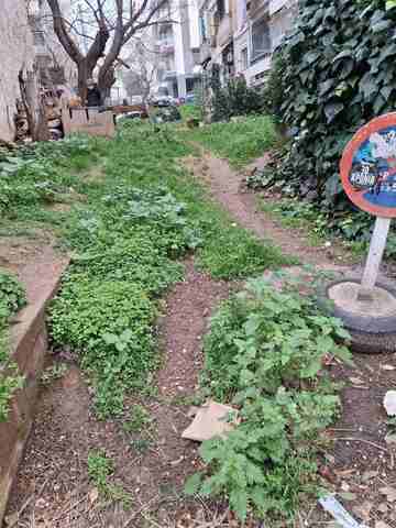 Φωτογραφία 3